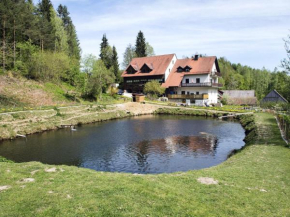 Alluring Apartment in Sch nsee in the forest